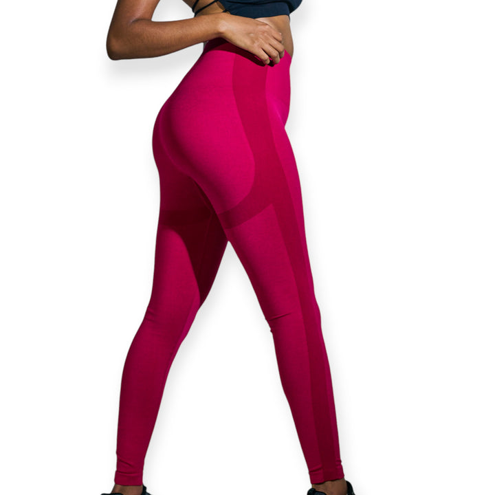 Performance Seamless  Leggings